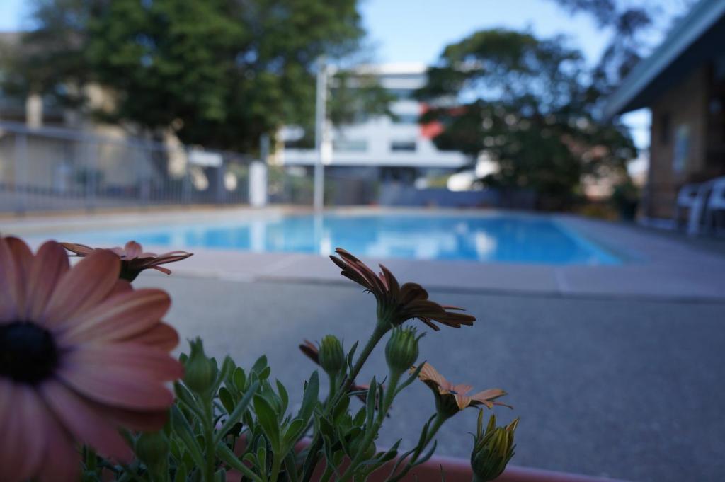 Panorama Motor Inn Newcastle Zewnętrze zdjęcie